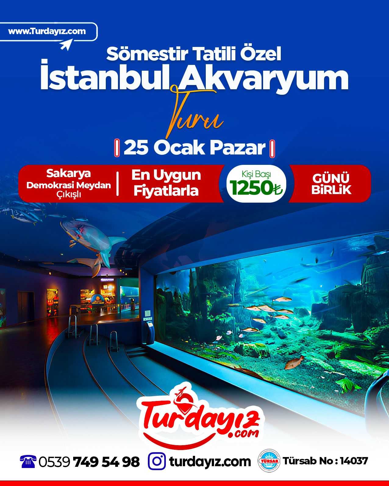 İstanbul Akvaryum turu